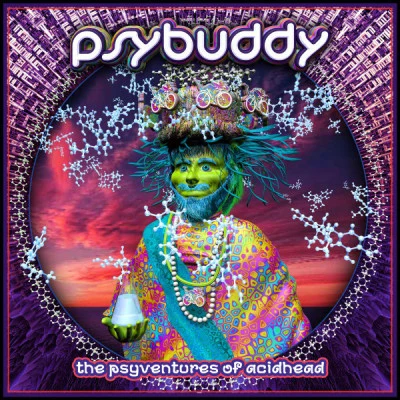 歌手 PsyBuddy