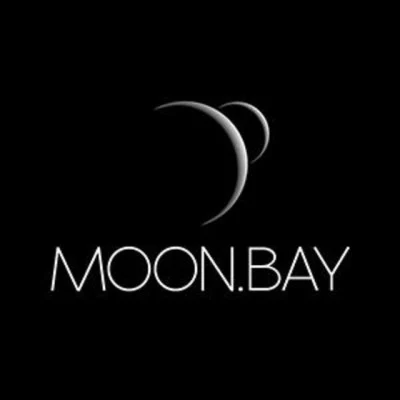 歌手 moon.bay