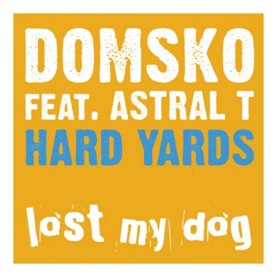 歌手 Domsko