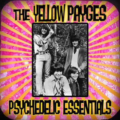 歌手 The Yellow Payges