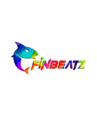 歌手 FINBEATZ