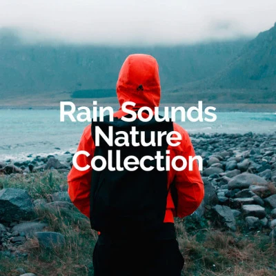 歌手 Rain Sounds Nature CollectionAmazing Spa MusicDeep Rain Sampling