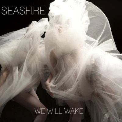 歌手 Seasfire