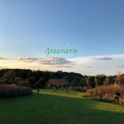 歌手 Greenery