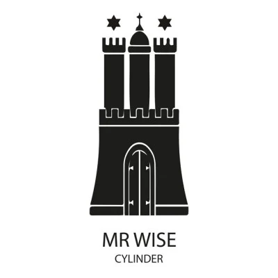 歌手 Mr Wise