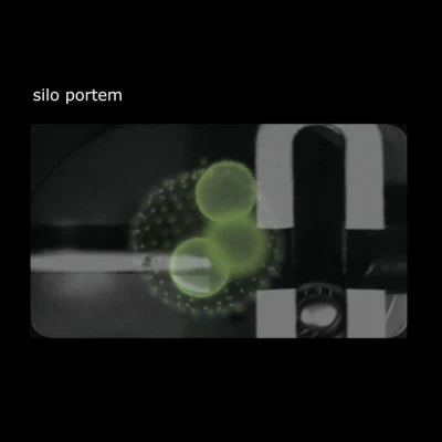 歌手 silo portem