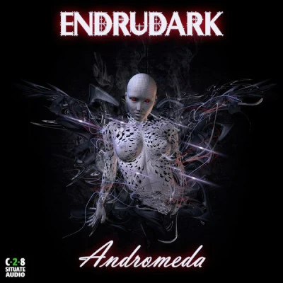 歌手 ENDRUDARK