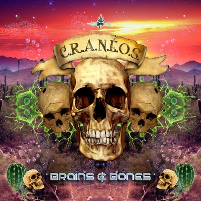 歌手 Brains &amp; Bones