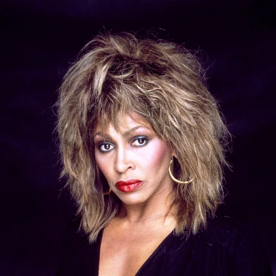 歌手 Tina Turner