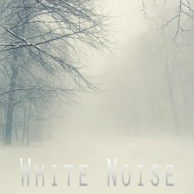 歌手 The White Noise