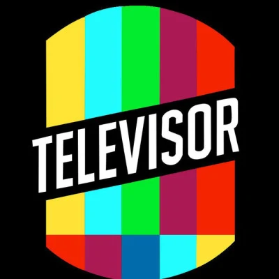 歌手 Televisor