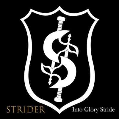 歌手 Strider