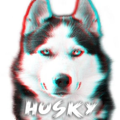 歌手 The Husky