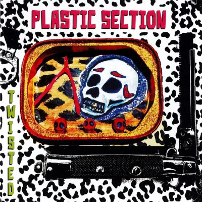 歌手 Plastic Section