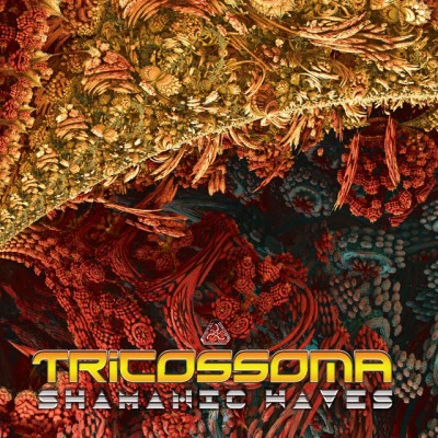 歌手 Tricossoma