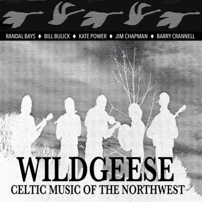 歌手 Wild Geese