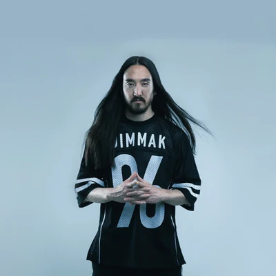 歌手 Steve Aoki