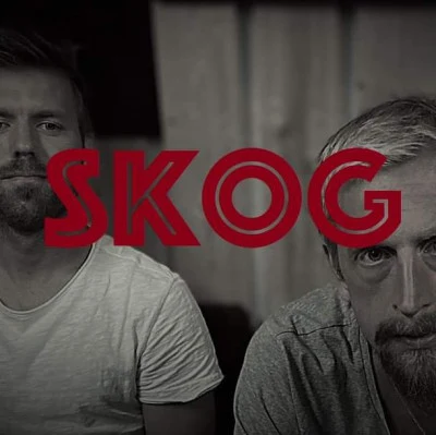 歌手 Skog