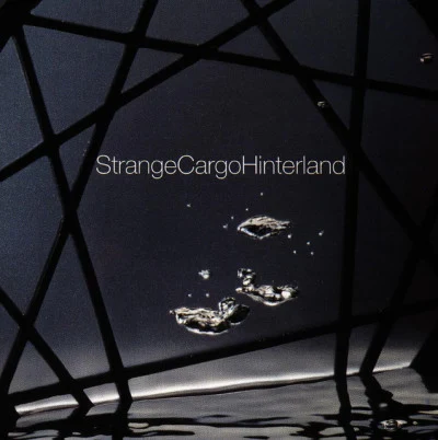 歌手 Strange Cargo