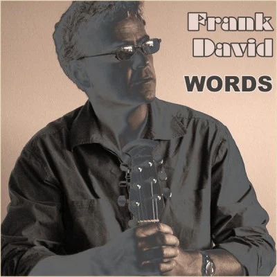 歌手 Frank David