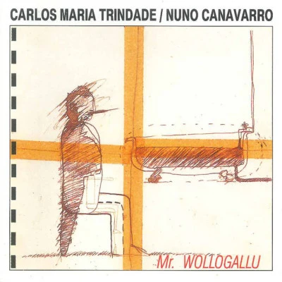 歌手 Nuno Canavarro