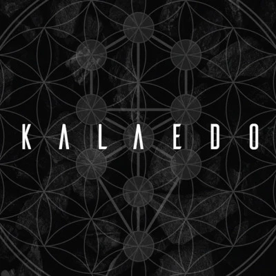 歌手 Kalaedo