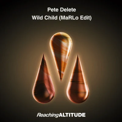 歌手 Pete Delete