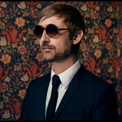 歌手 The Divine Comedy