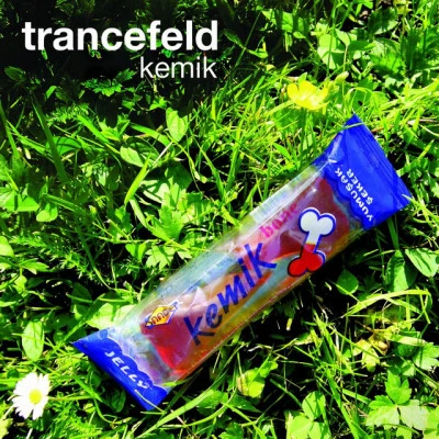 歌手 Trancefeld