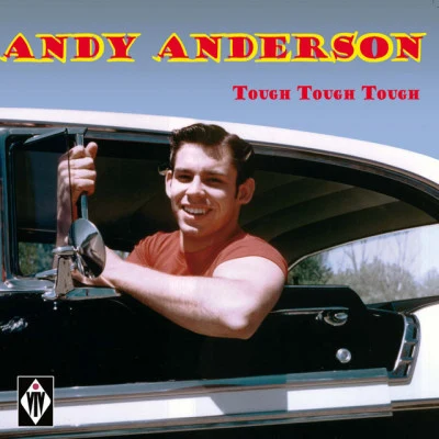 歌手 Andy Anderson