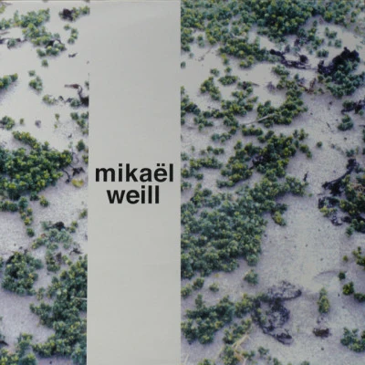 歌手 Mikael Weill