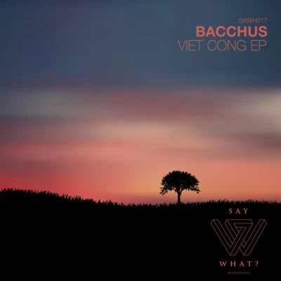 BacchUS (UK)/Waifs & Strays Keep Pushing EP