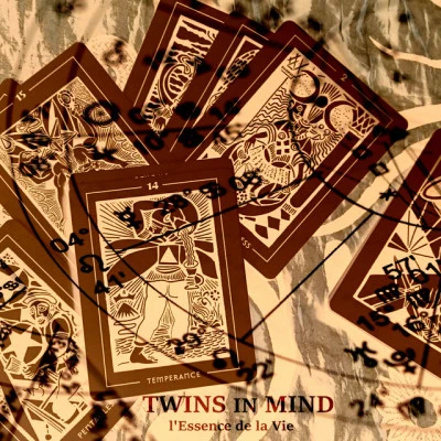 歌手 Twins in Mind