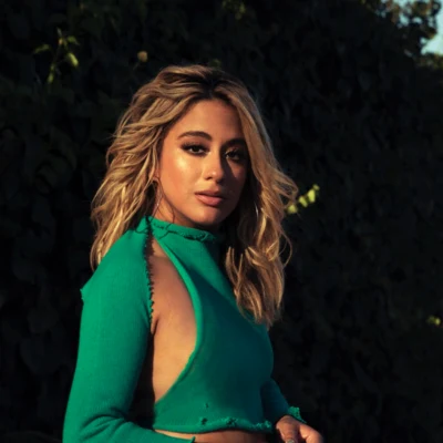 歌手 Ally Brooke