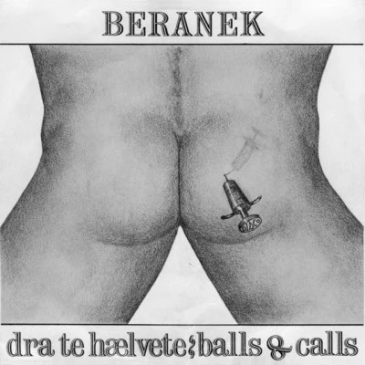 歌手 Beranek