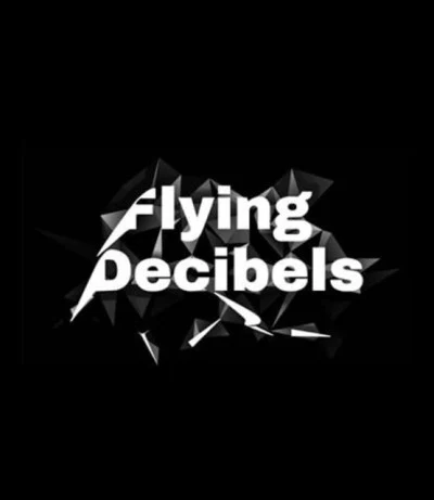 歌手 Flying Decibels