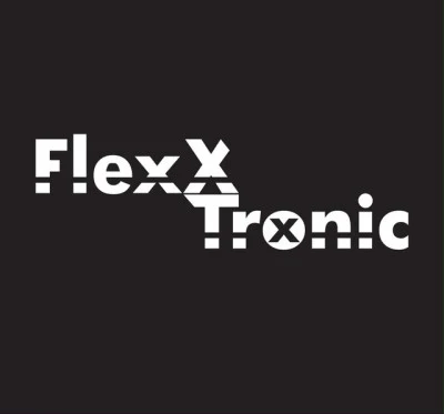 歌手 FlexXTronic