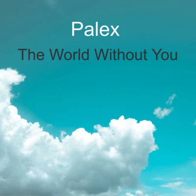 歌手 Palex