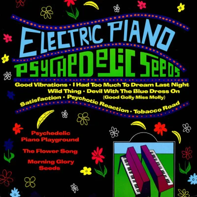 歌手 Electric Piano Playground