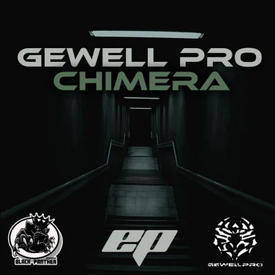 歌手 Gewell Pro