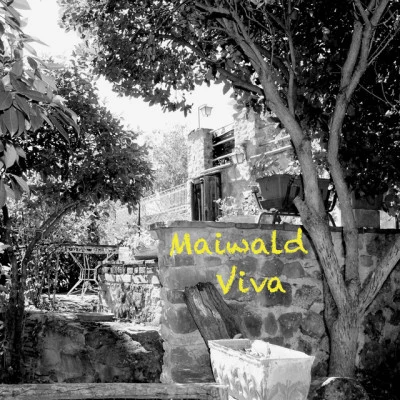 歌手 Maiwald