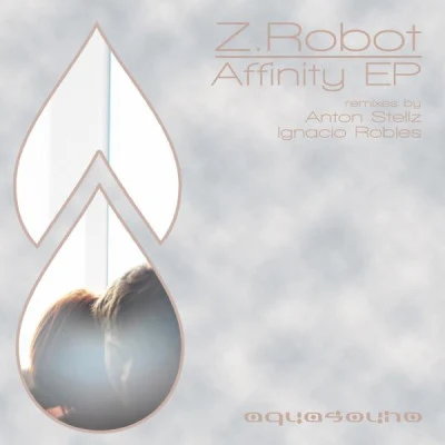 歌手 Z.Robot