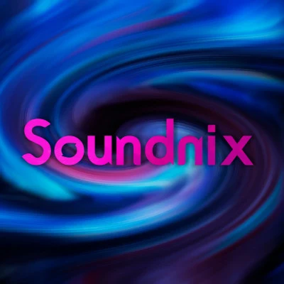 歌手 Soundnix