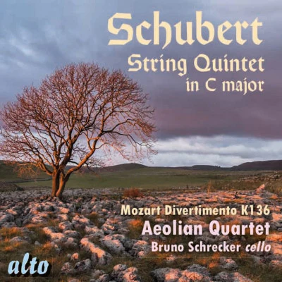 Bruno Schrecker/The Allegri String Quartet/Patrick Ireland/David Roth/Jack Brymer/Hugh Maguire Vesperae solennes de confessore in C, K.339