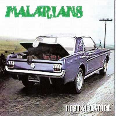 歌手 Malarians