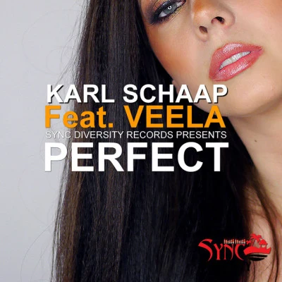 歌手 Karl Schaap feat. Veela