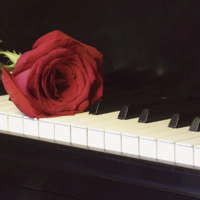 Piano Love Songs/Relaxing Piano Music Consort/Relajante Música de Piano Oasis Valentine是love - instrumental piano pieces for啊romantic evening