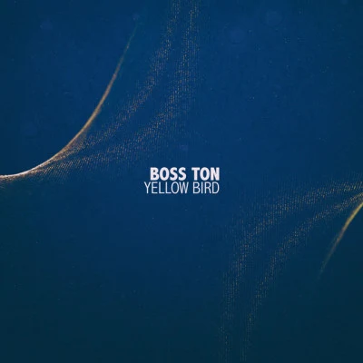 歌手 Boss Ton