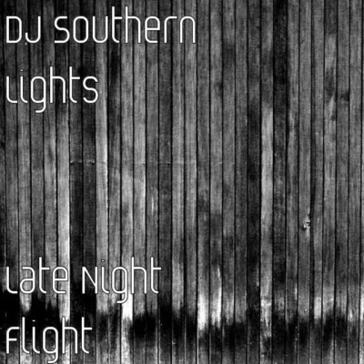 歌手 DJ Southern LightsBGBoosie Badazz