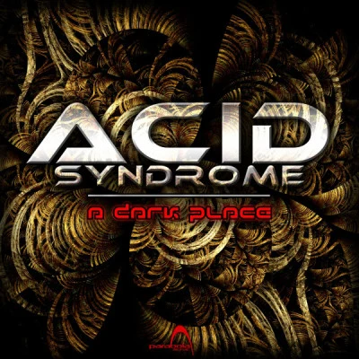 歌手 Acid Syndrome